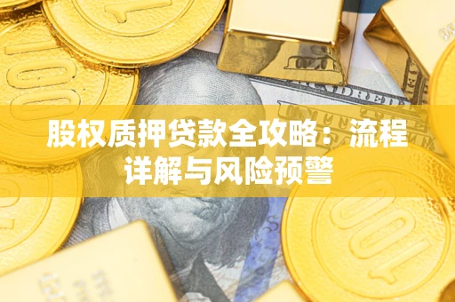 北京股权质押贷款全攻略：流程详解与风险预警