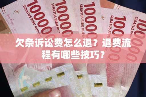北京欠条诉讼费怎么退？退费流程有哪些技巧？